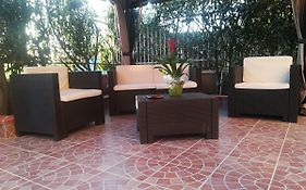 B&B Elisir