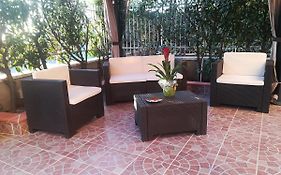 B&B Elisir